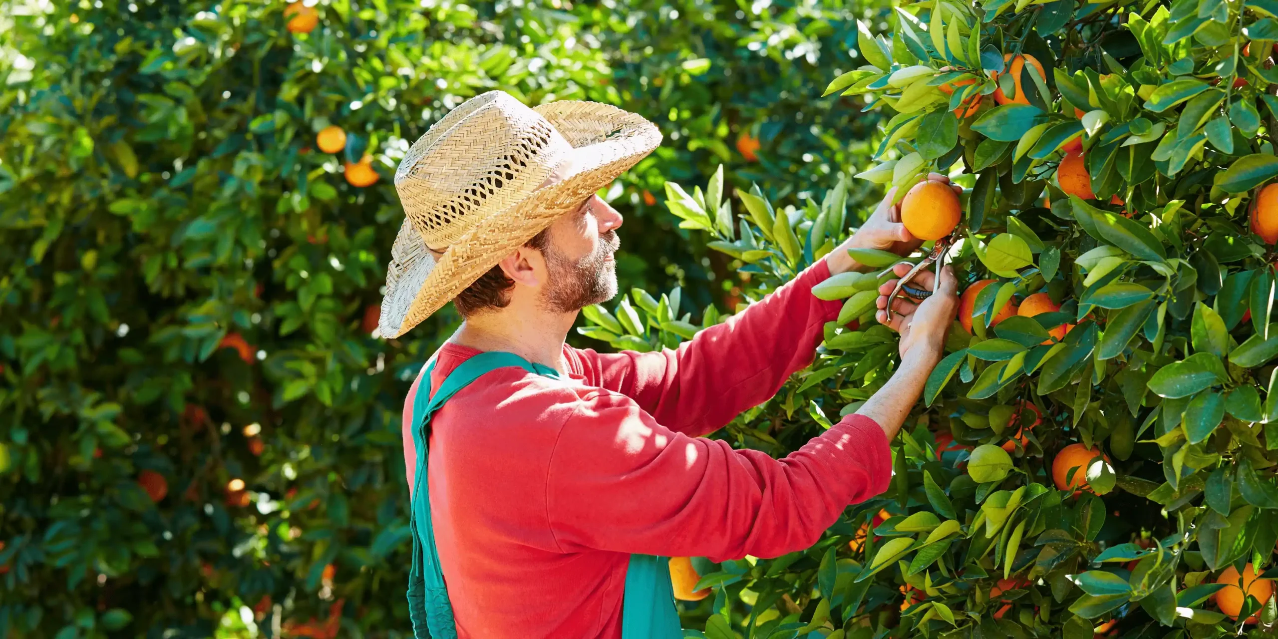 cuidar-las-personas-grupo-naturesa