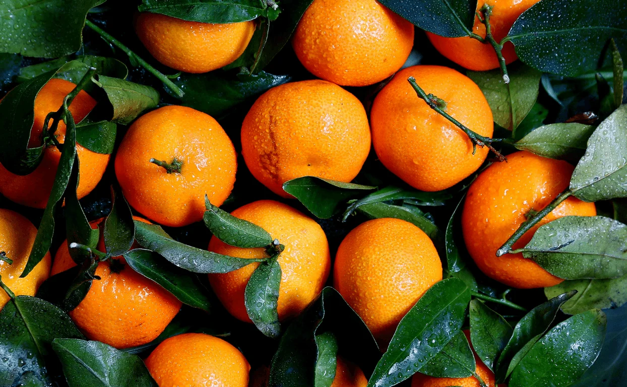 powell-foto-grupo-Naturesa