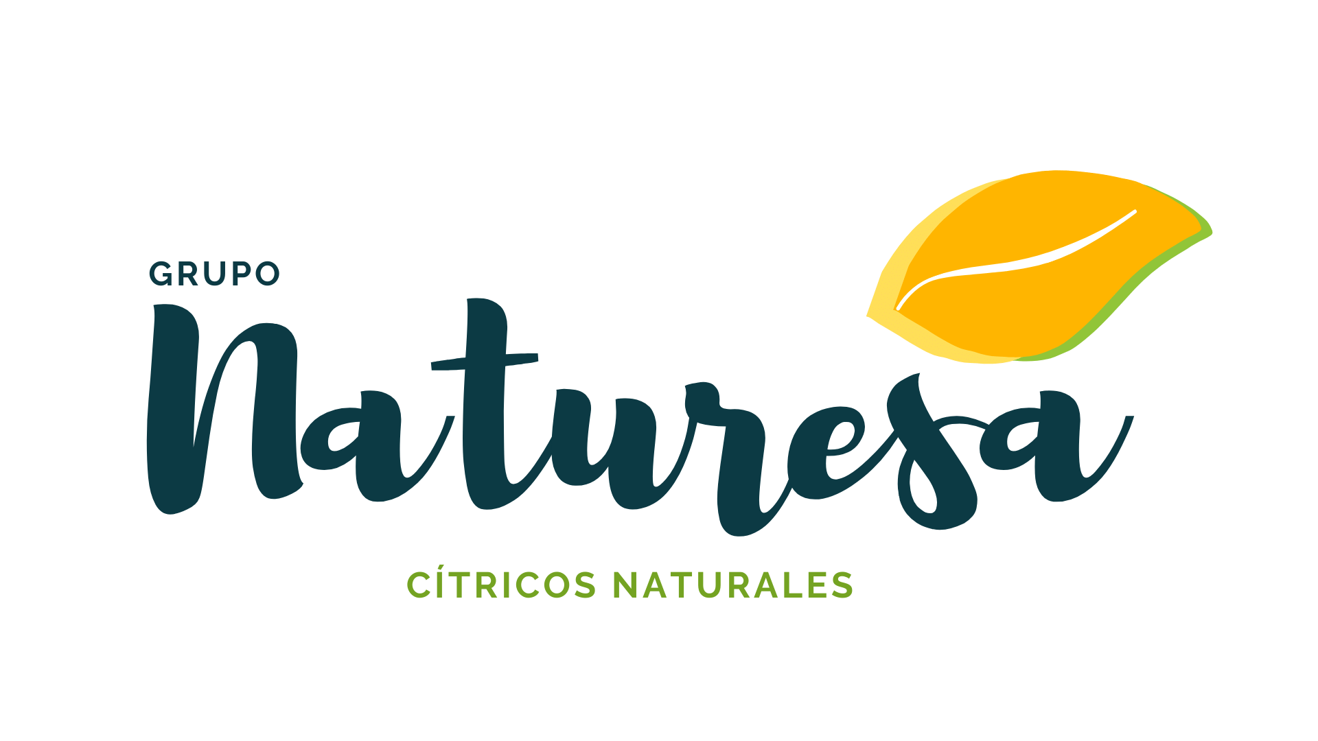 logo-naturesa-definitivo